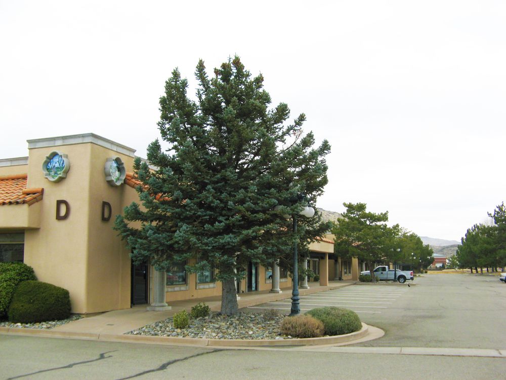Sierra Vista Business Park: 5301 Longley Ln, Reno, NV 89511